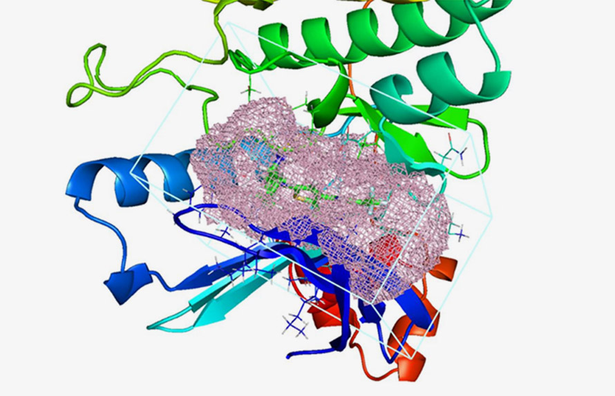 Bringing insights from computational chemistry into medicinal chemistry design. Learn more about computer-aided drug design