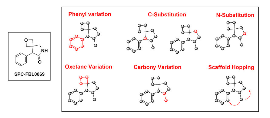 Guiding you from hit validation through to lead optimization and beyond. Fragment-based drug design (FBDD). Discover more!