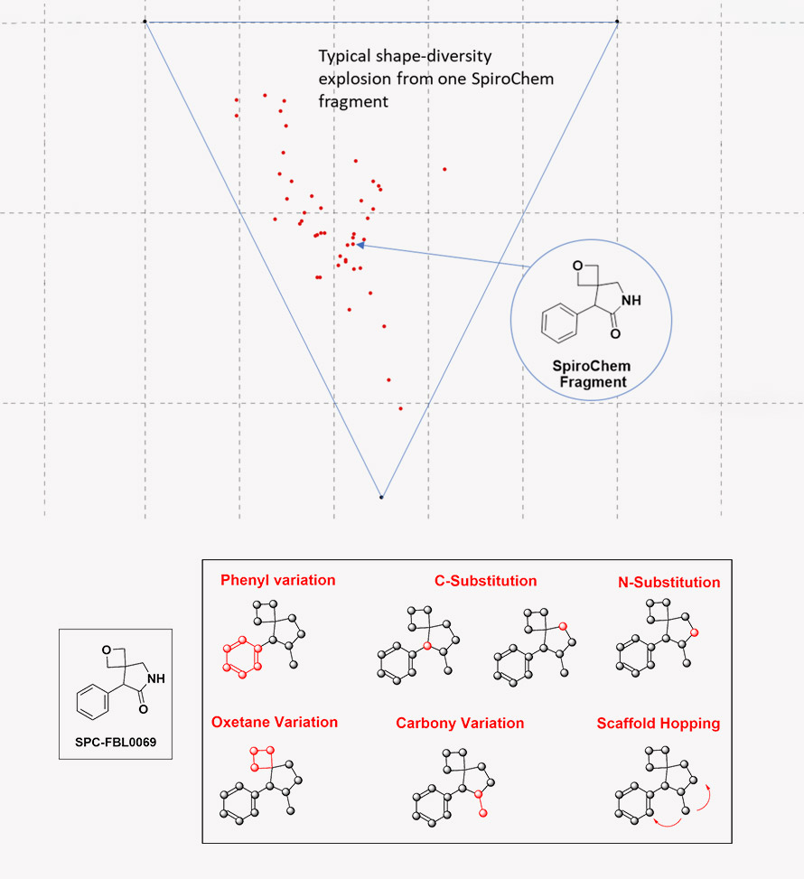 Offering dynamic, world-class expertise in fragment-based lead generation. Where chemistry excellence accelerates discovery.