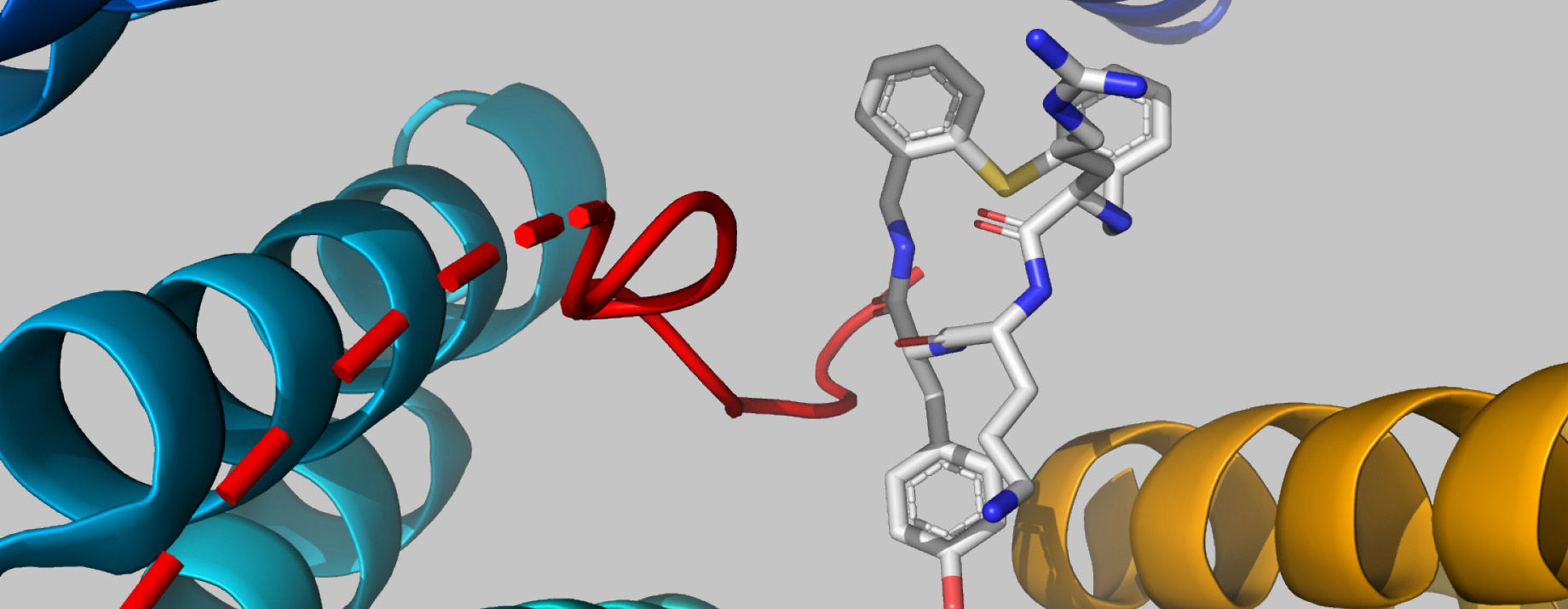 Advancing your research program by delivering the world’s best chemistry. Collection of 8000+ macrocycles. Discover more!