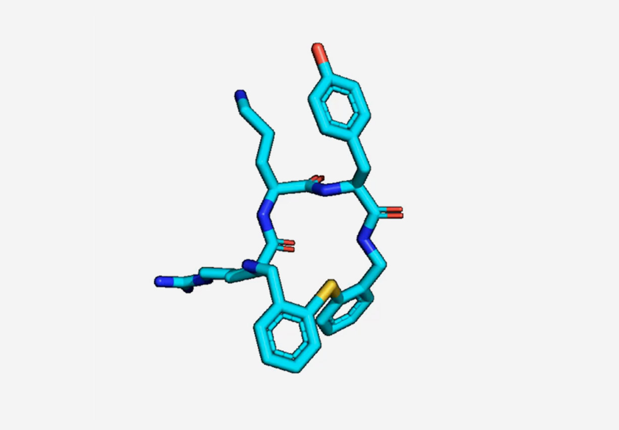 Advancing your research program by delivering the world’s best chemistry. Collection of 8000+ macrocycles. Discover more!