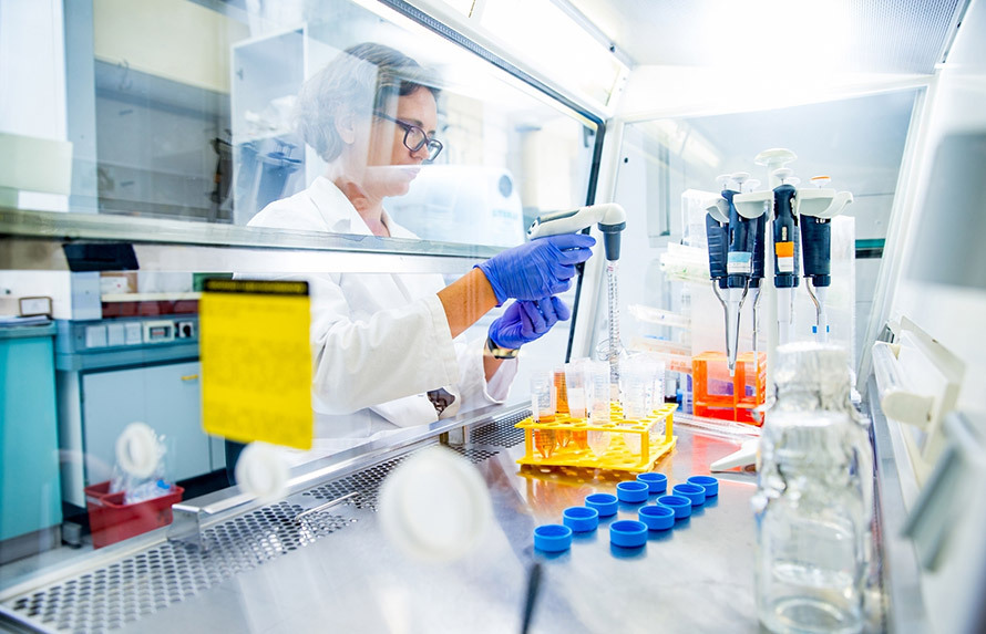 Offering fully integrated drug discovery services, combining expert chemistry and biology for effective candidate development.
