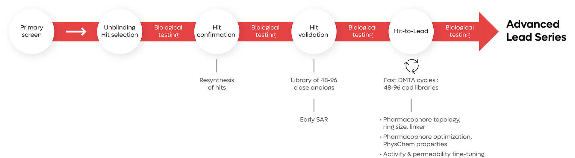 Macrocycle Library