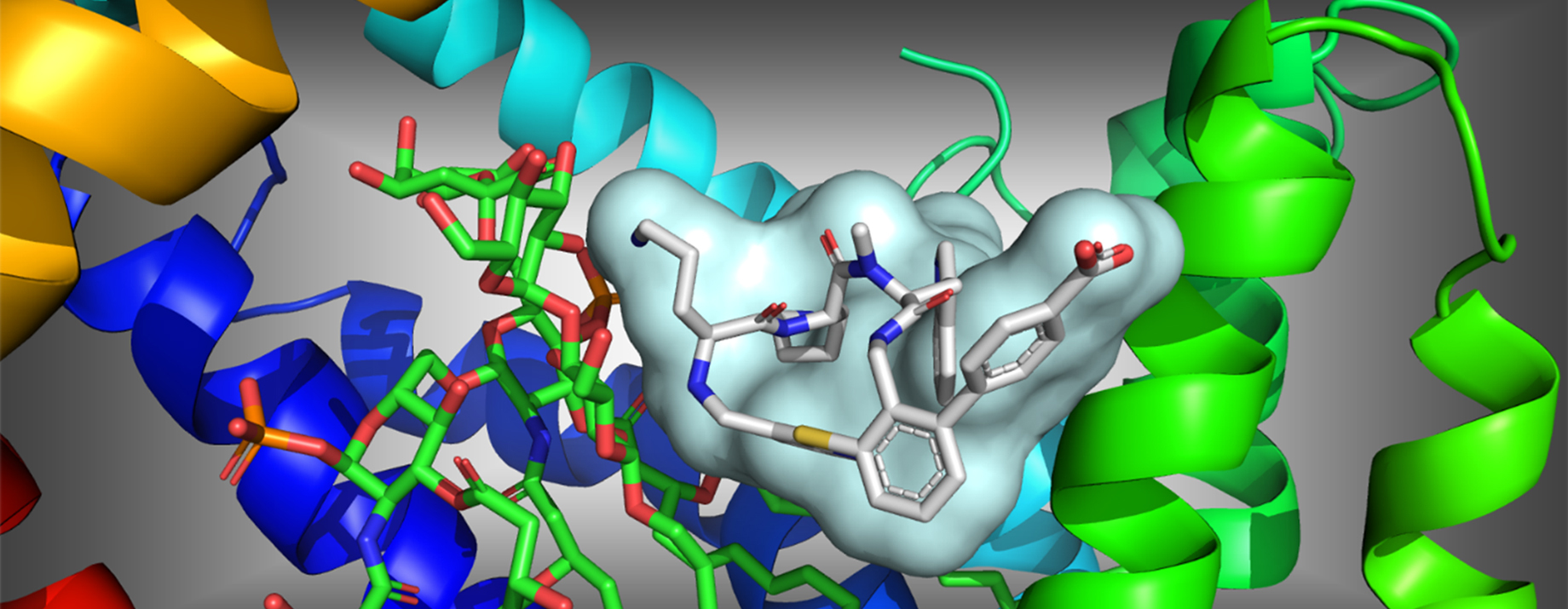 Small molecules with a lot of potential. Macrocycles are compelling entities in drug discovery with unique properties.