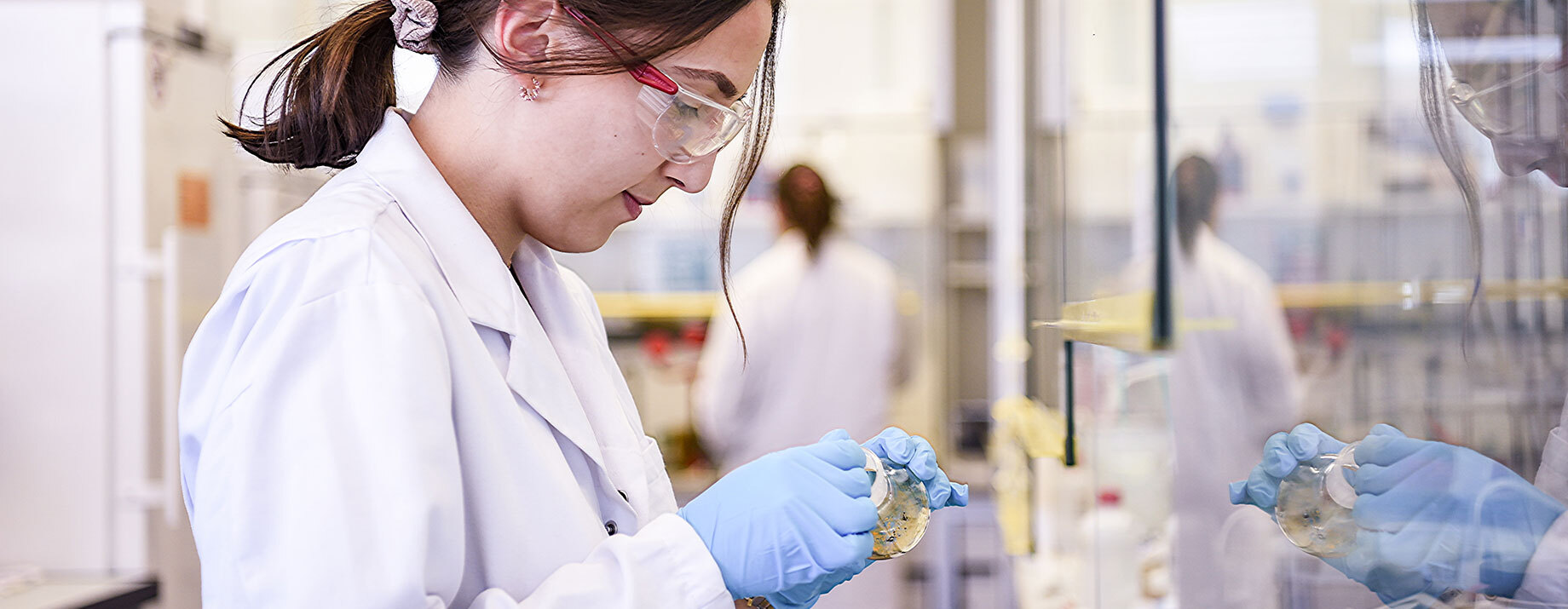 Bioconjugation involves the bond formation between a biomolecule and a linker which could carry functionalities. Learn more!