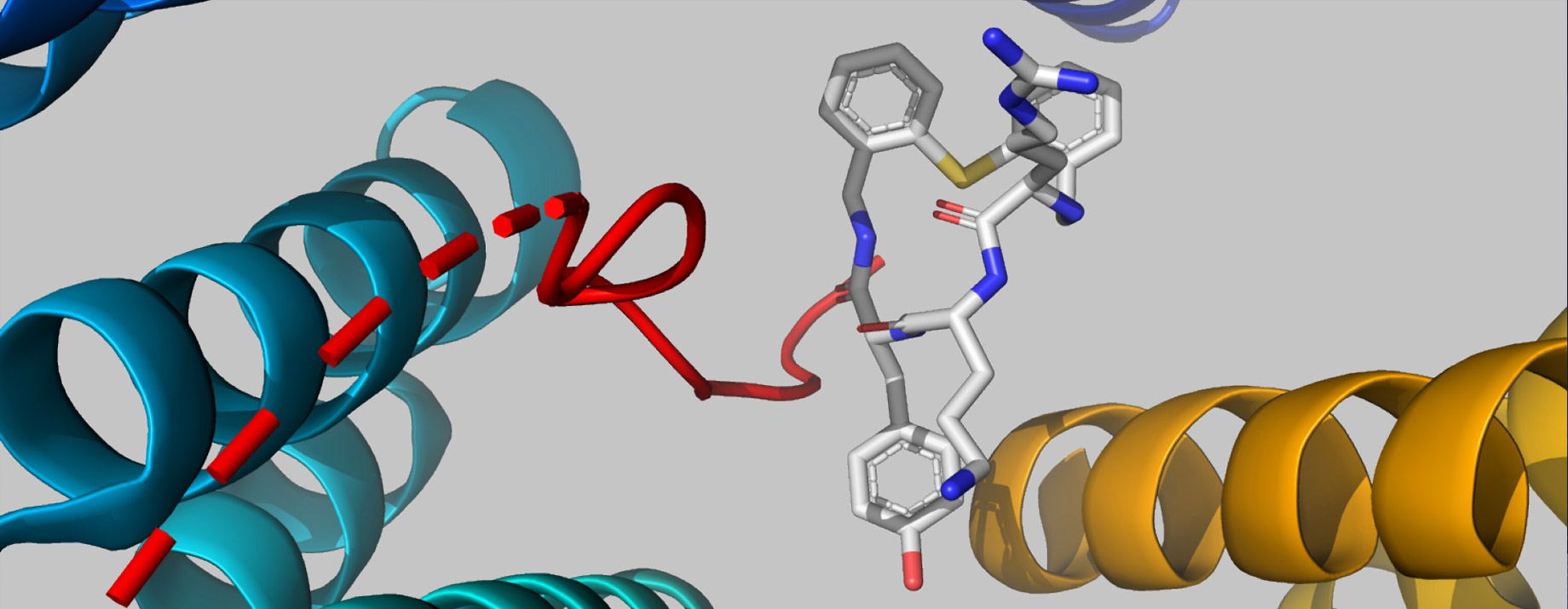 Small molecules with a lot of potential. Macrocycles are compelling entities in drug discovery with unique properties.